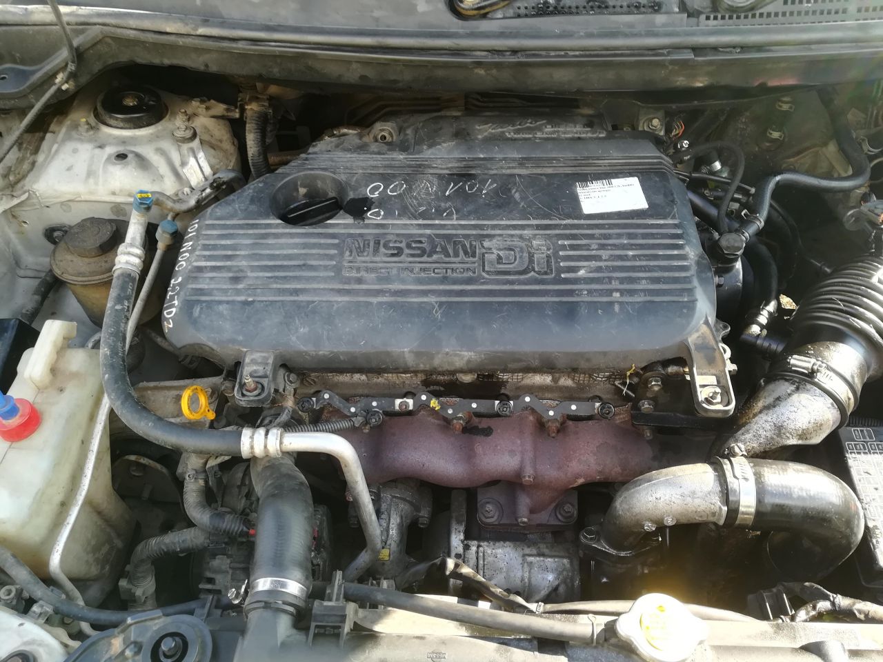 Nissan, Vienatūris | 1