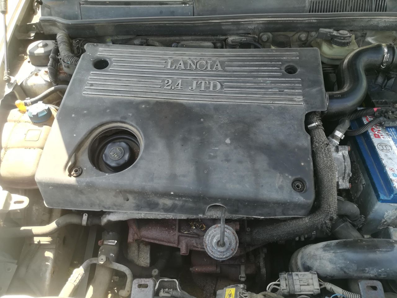 Lancia, Universalas | 1