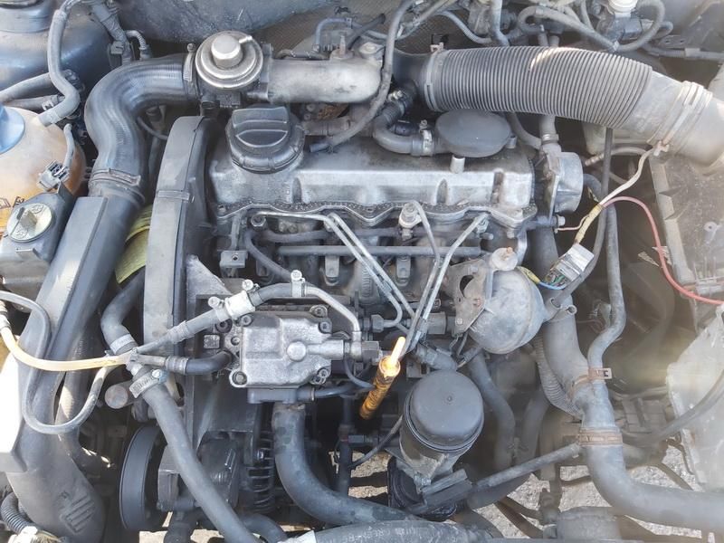 Volkswagen, Hečbekas | 1