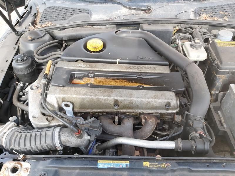 Saab, Universalas | 1