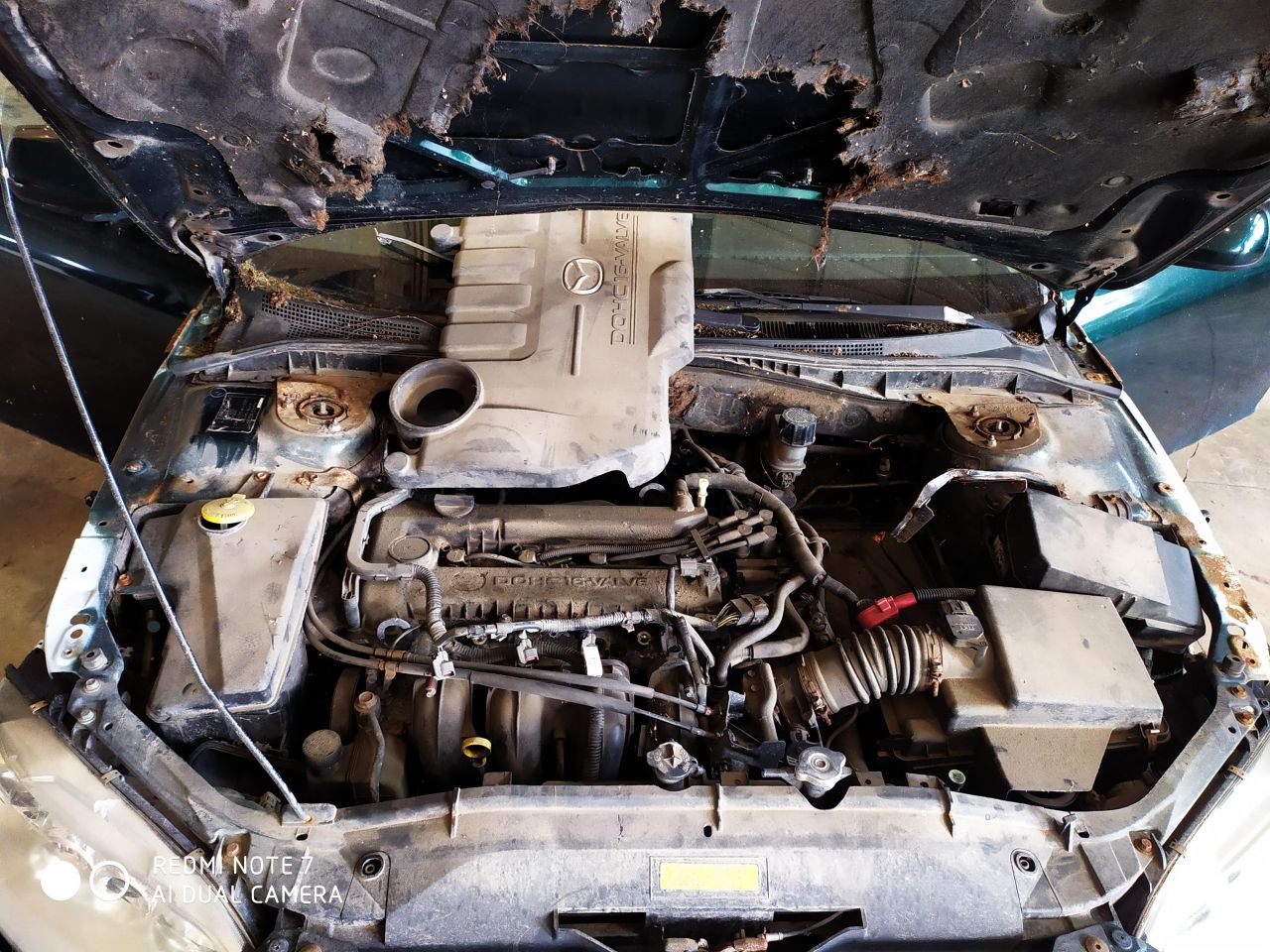 Mazda, Universalas | 7