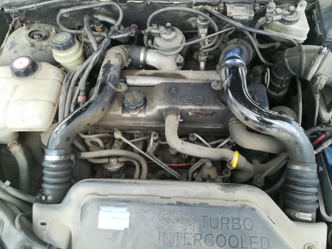 Ford, Universalas | 1
