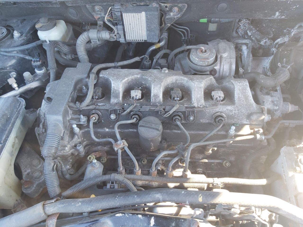 Toyota, Cross-country | 1