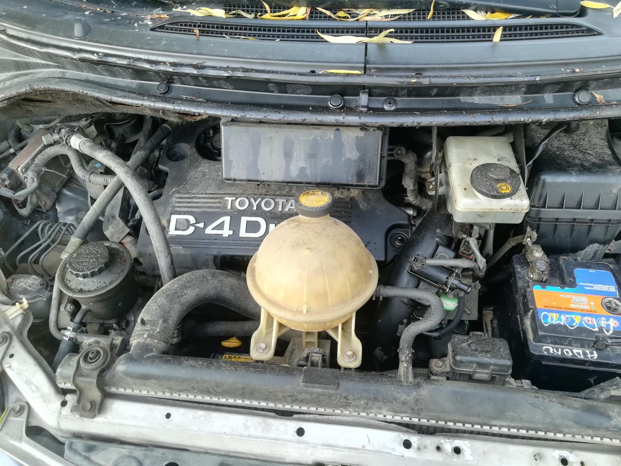 Toyota, Vienatūris | 1