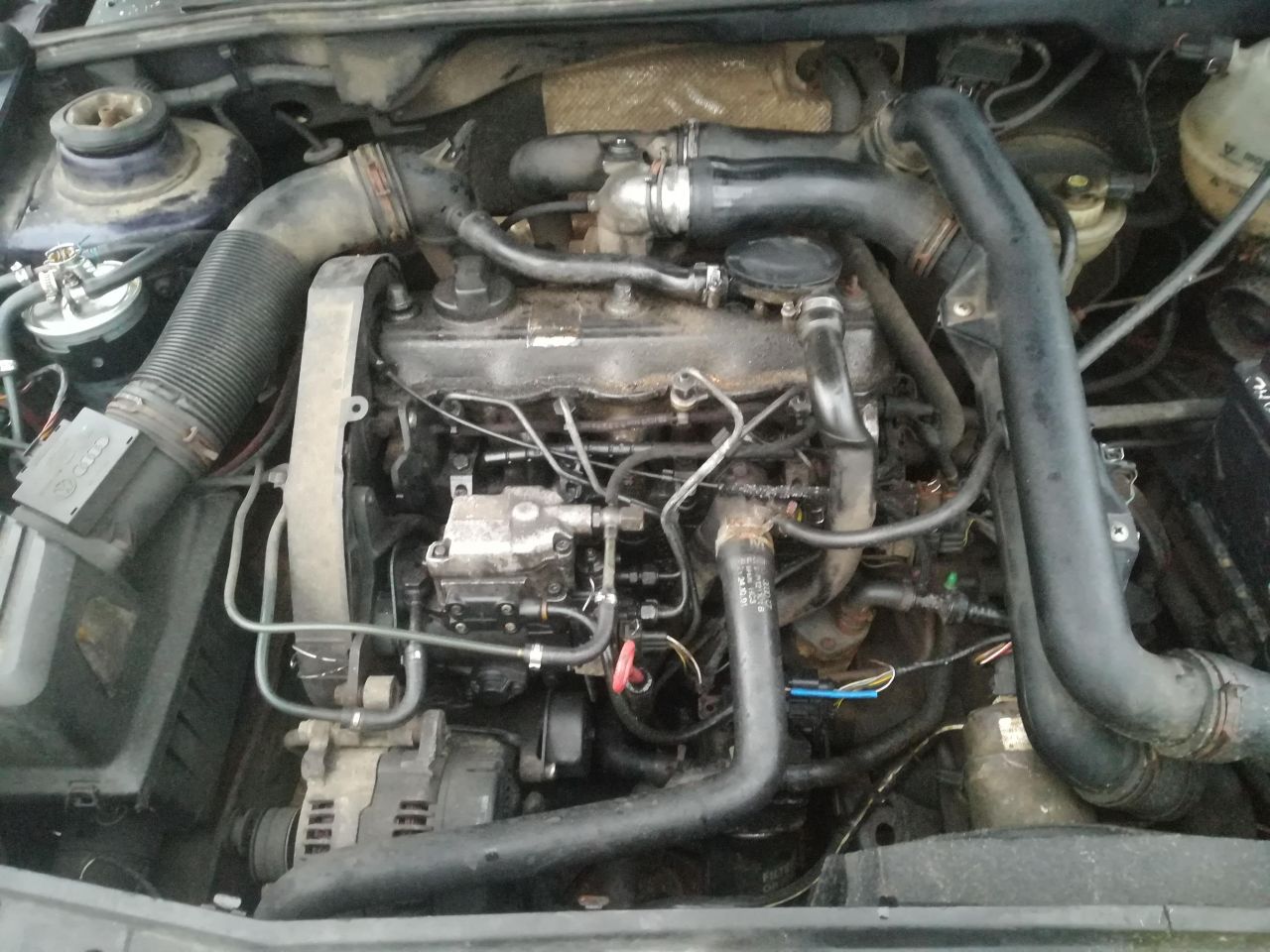 Volkswagen, Hatchback | 1