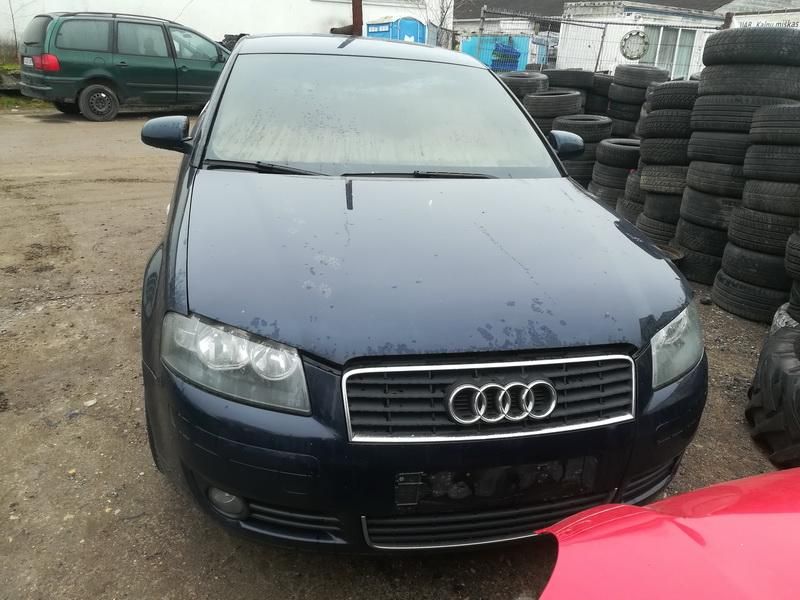Audi, Hečbekas