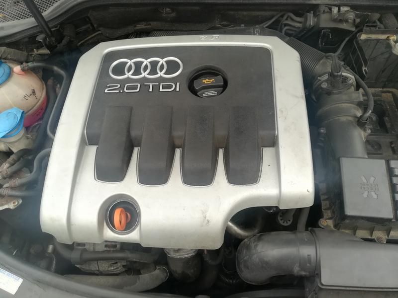 Audi, Hečbekas | 1