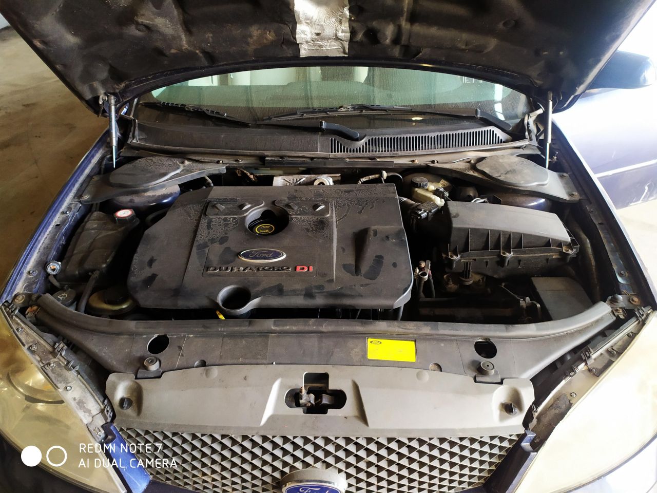 Ford, Universalas | 7
