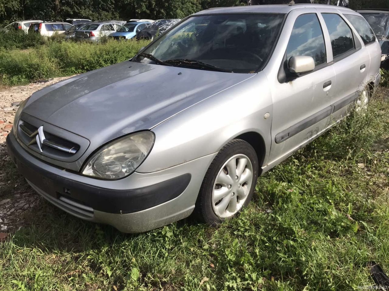 Citroen Xsara, Universalas | 1