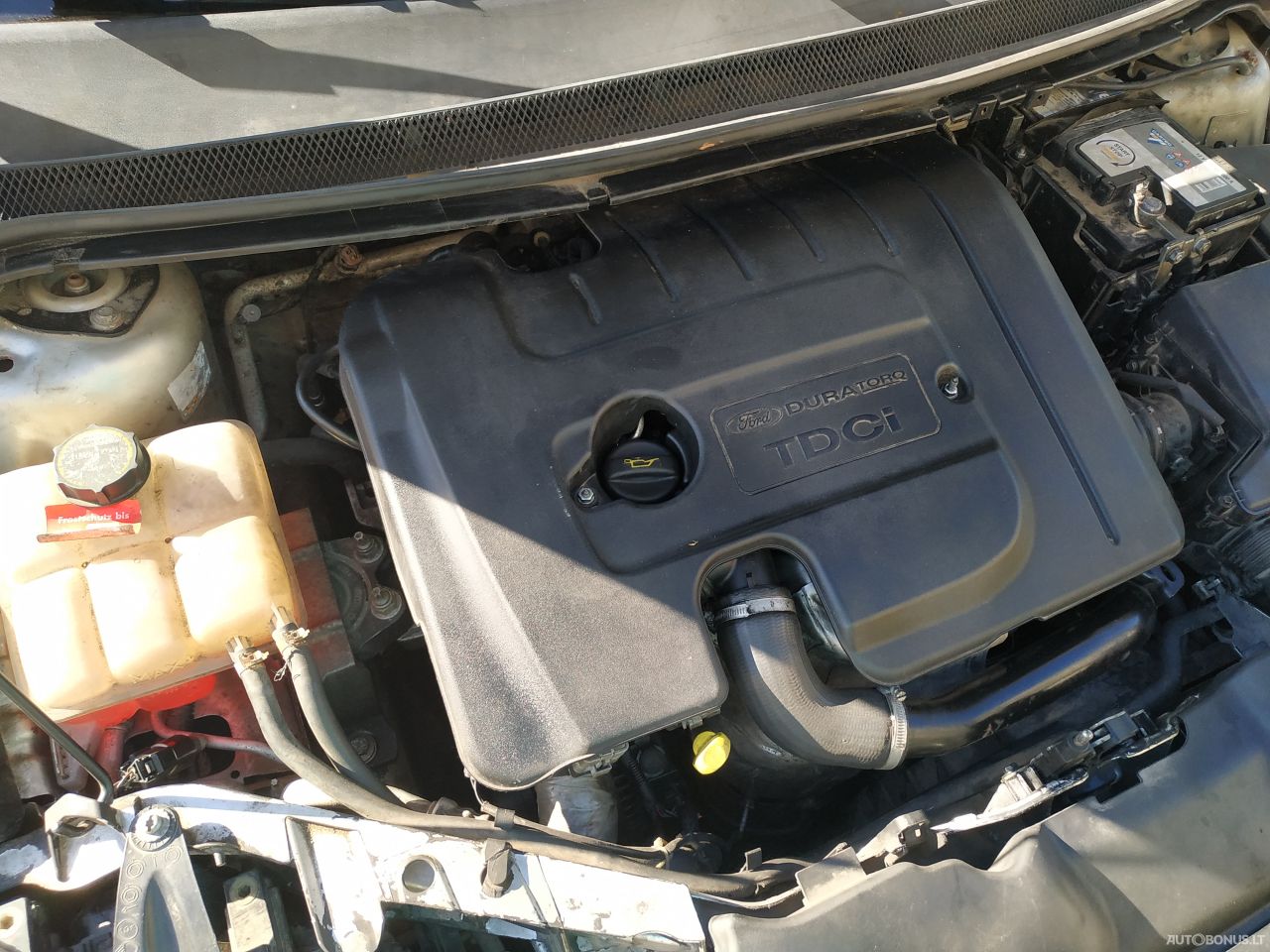 Ford Focus | 15