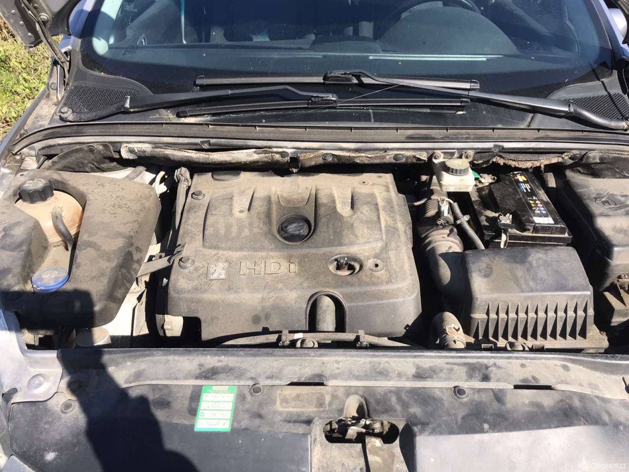 Peugeot 307, Universalas | 6