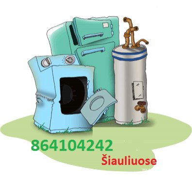  Krovinių pervežimas Šiauliuose | 11