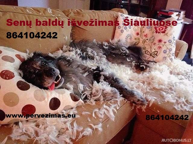  Krovinių pervežimas Šiauliuose | 6