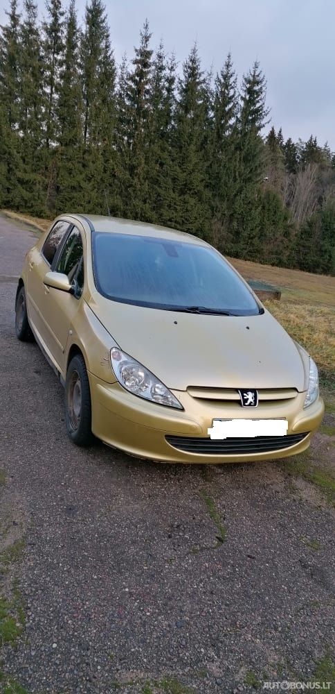 Peugeot 307 | 3