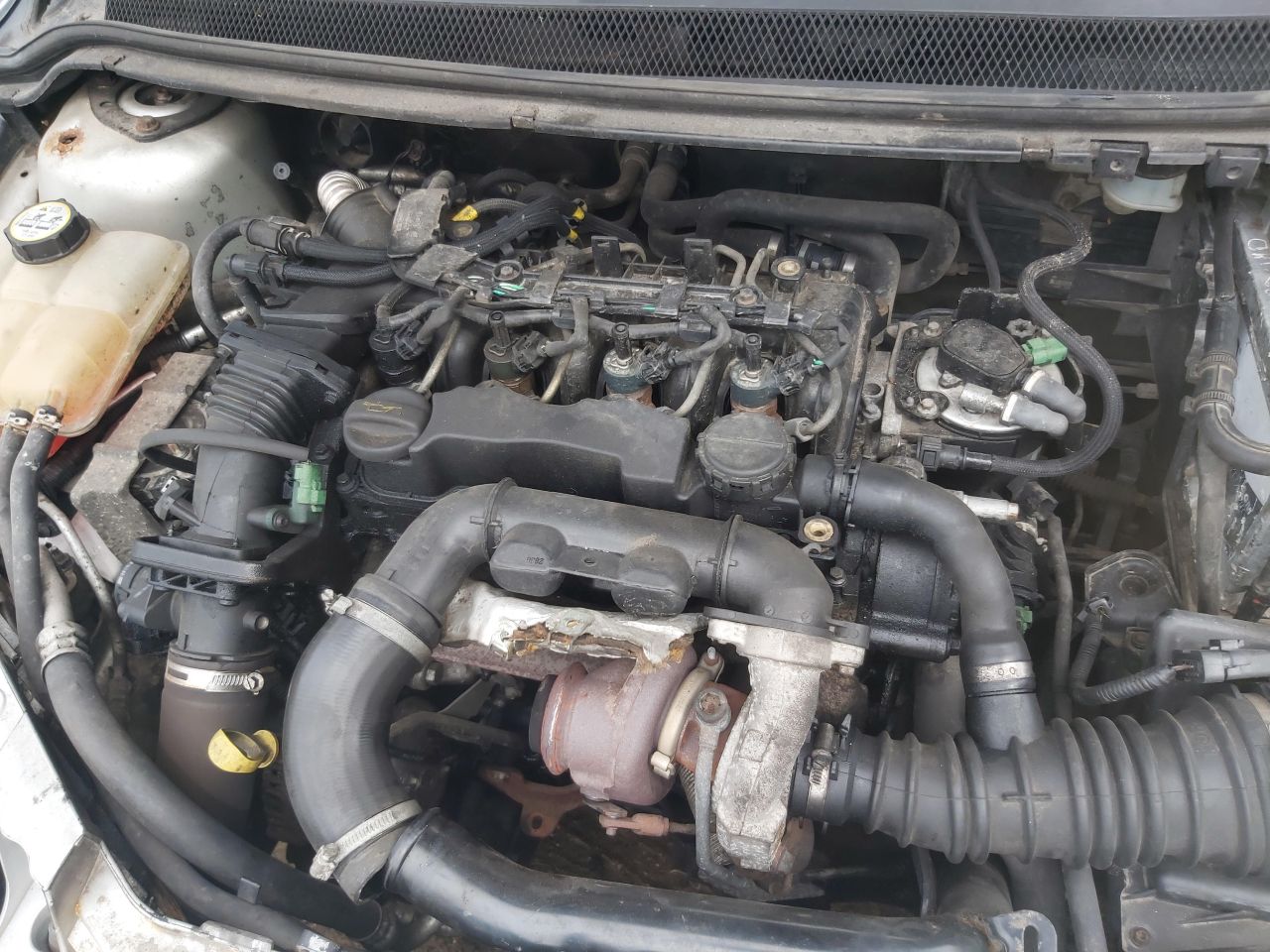 Ford, Hatchback | 6