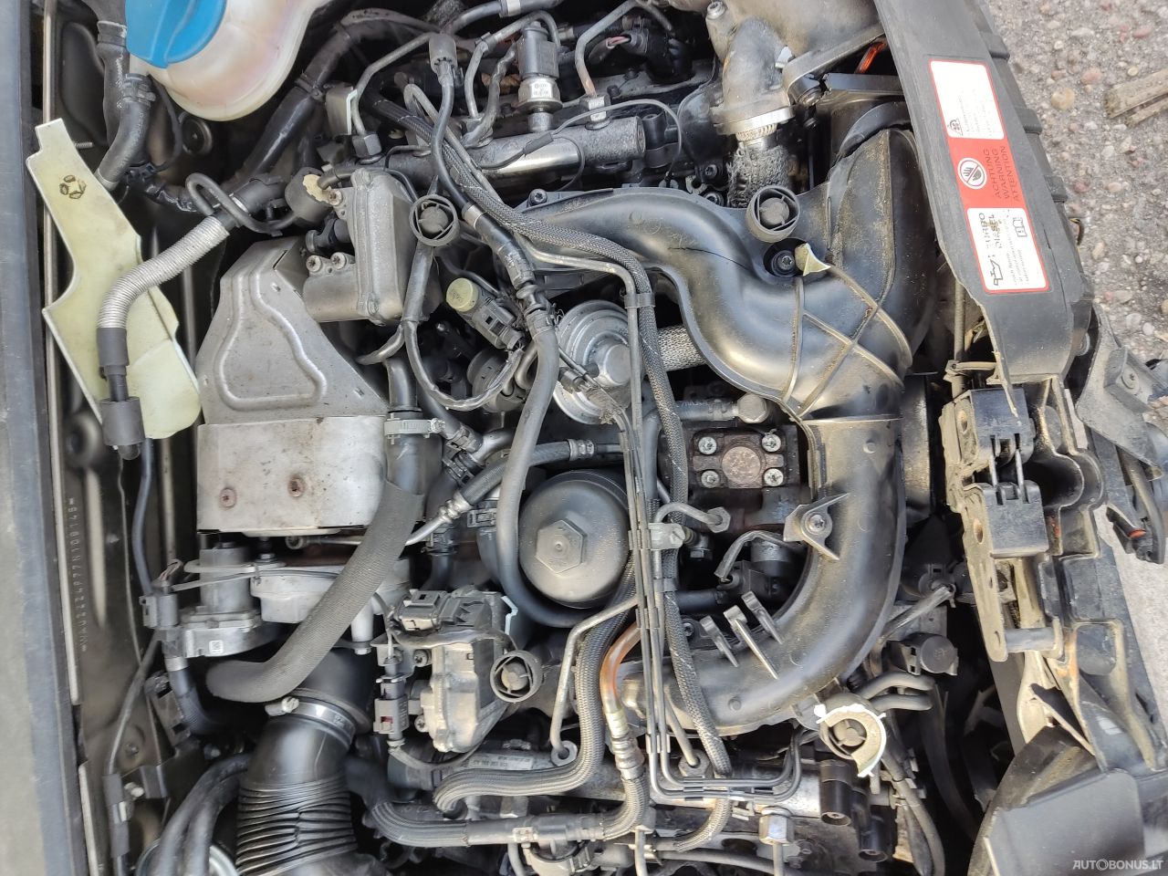 Audi A6, Universal | 6