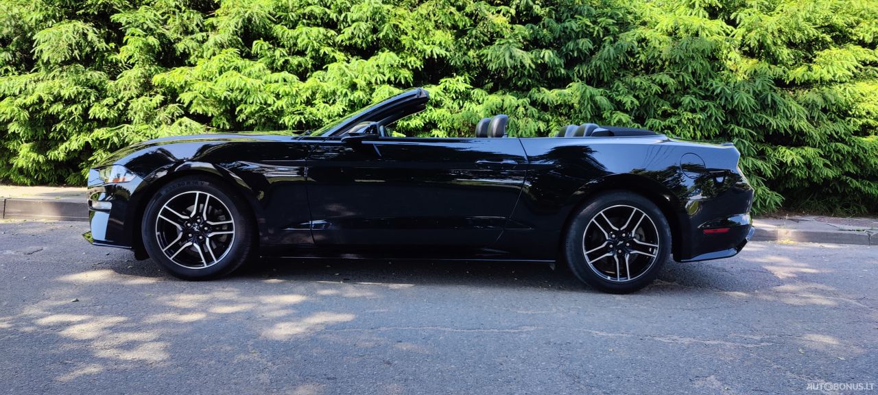 Ford Mustang | 14