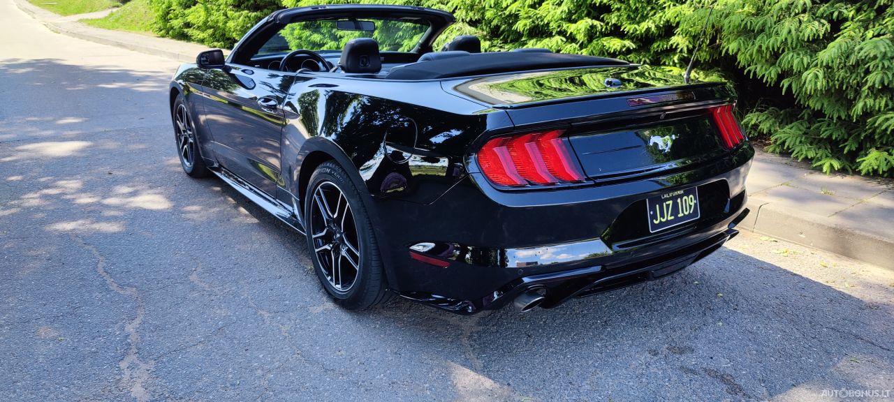 Ford Mustang | 13
