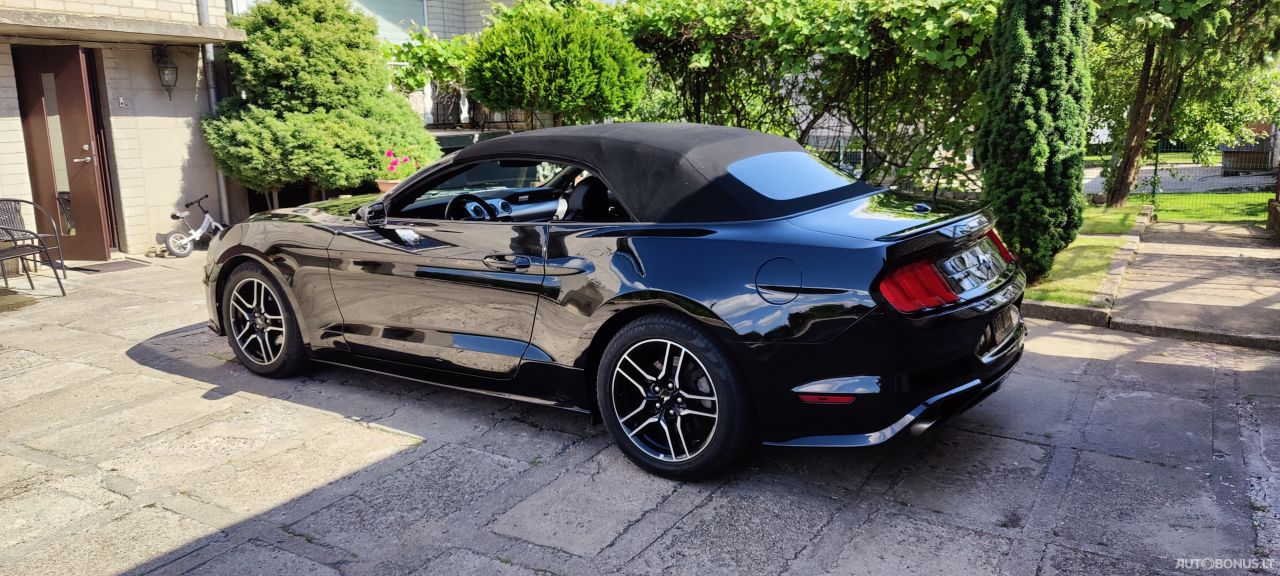 Ford Mustang | 1
