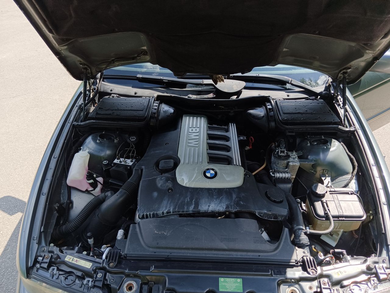 BMW 525 | 12