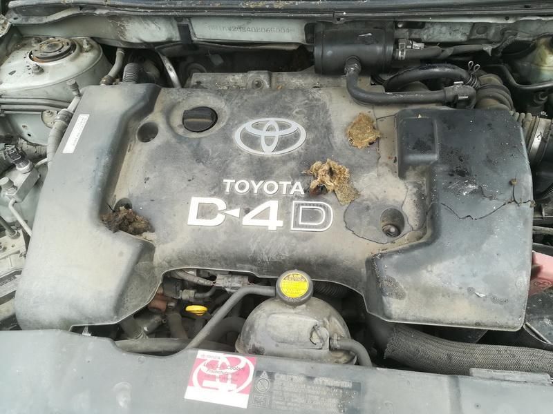 Toyota, Hečbekas | 1
