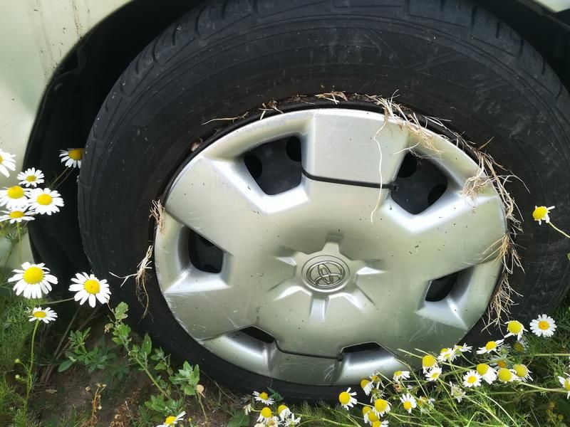 Toyota, Hečbekas | 6