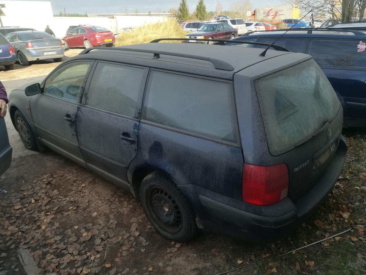 Volkswagen, Универсал | 6