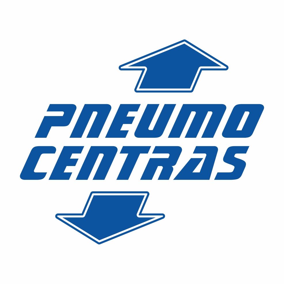  Airmatic orine pagalve, remontas,pneumatine pakaba | 12