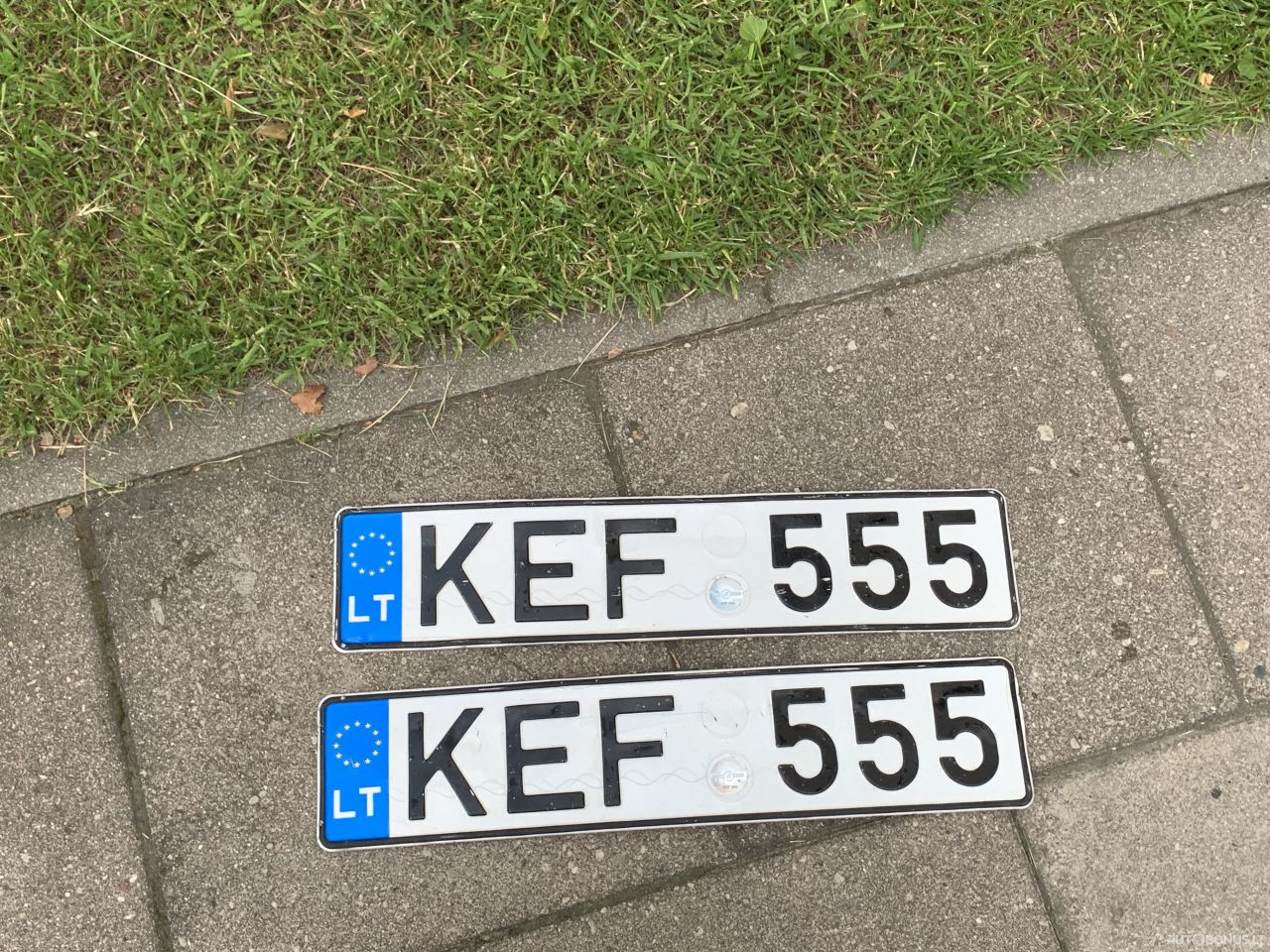  KEF555