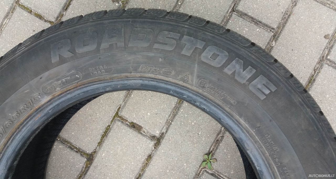 Roadstone Eurovis Alpine WH1 зимние шины | 3