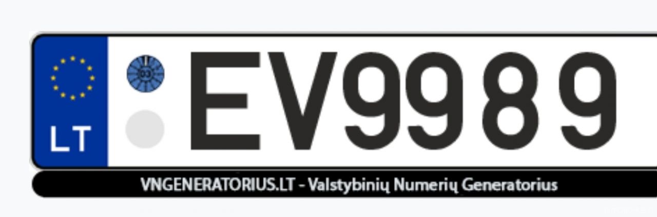  EV9989