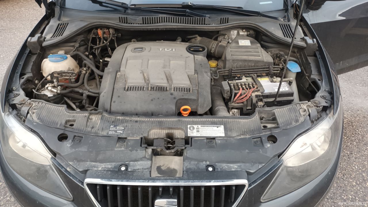 Seat Ibiza | 8