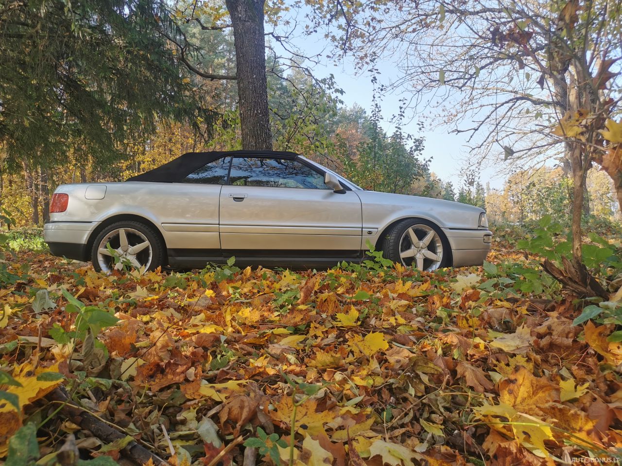 Audi Cabriolet | 3