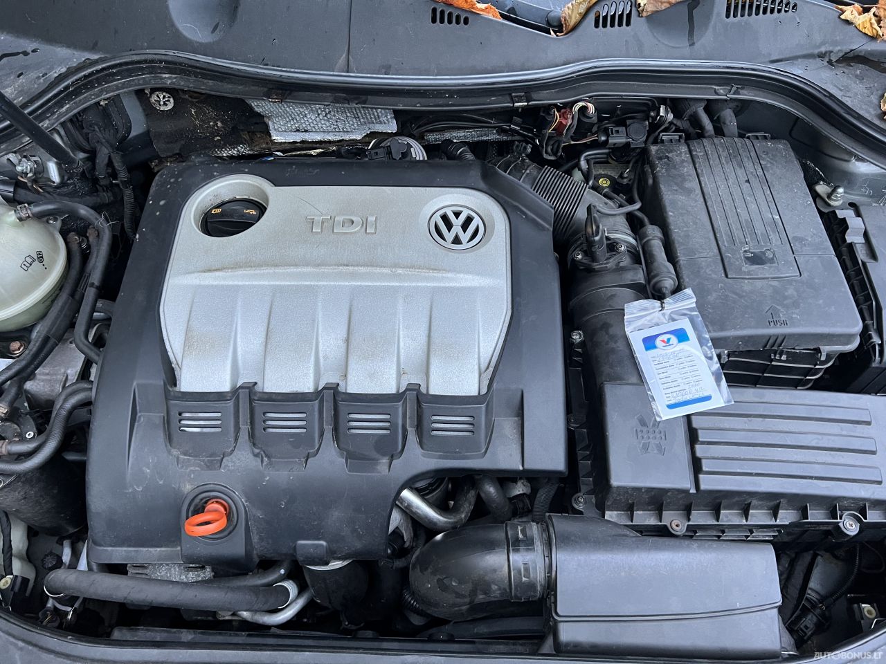 Volkswagen Passat | 21