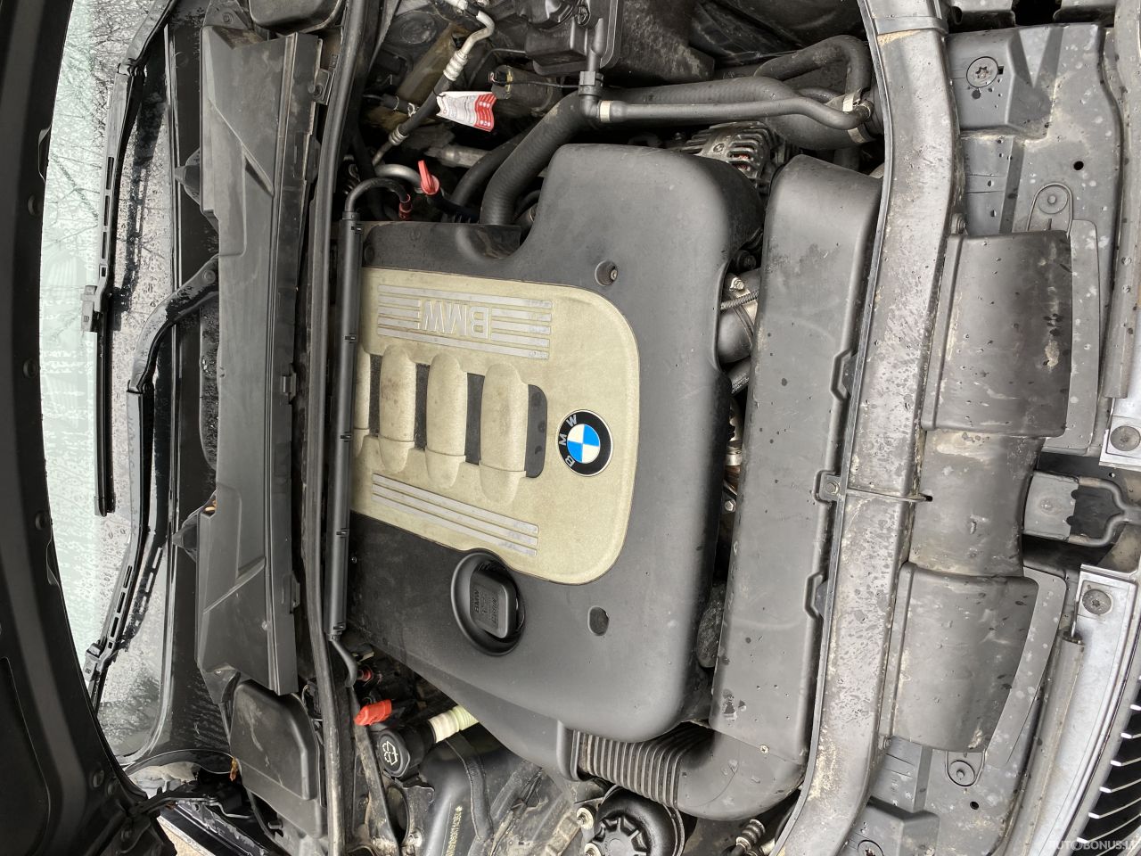 BMW 330 | 13