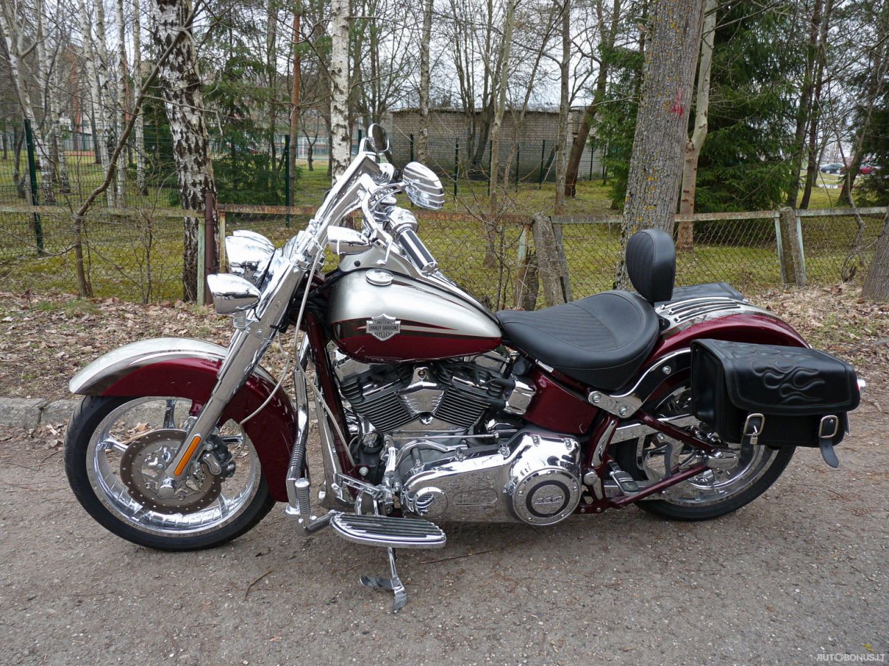 Harley-Davidson FLSTS, Cruiser/Touring | 2