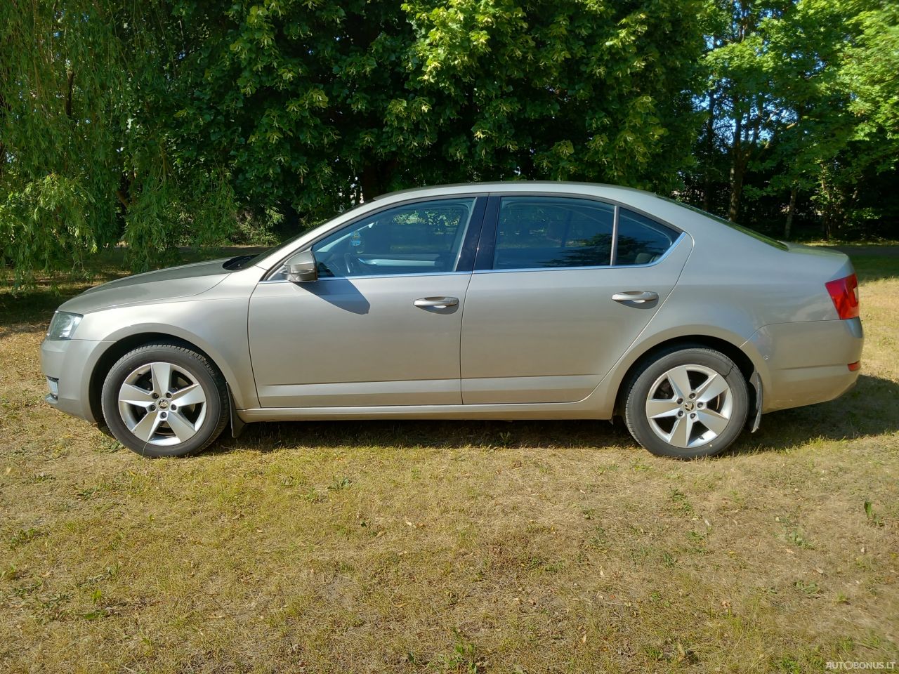 Skoda Octavia | 1