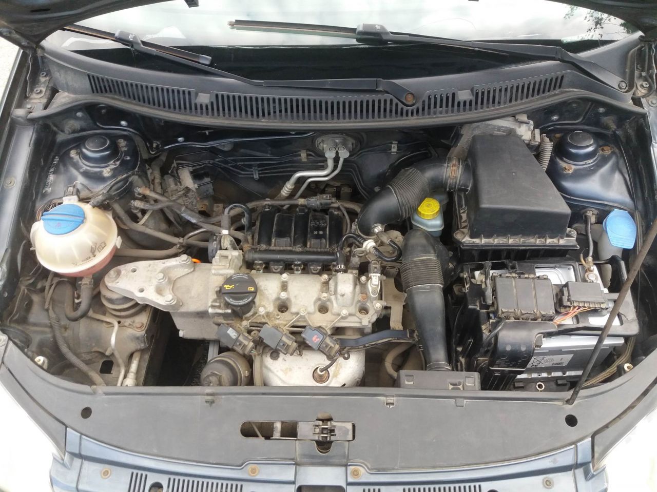 Volkswagen Polo | 12