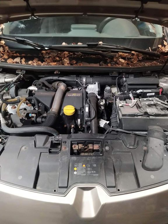 Renault 4, Universal | 6