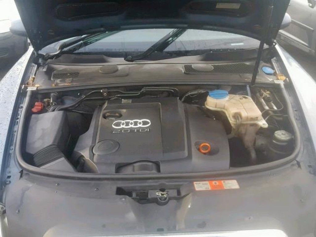 Audi, Universal | 7