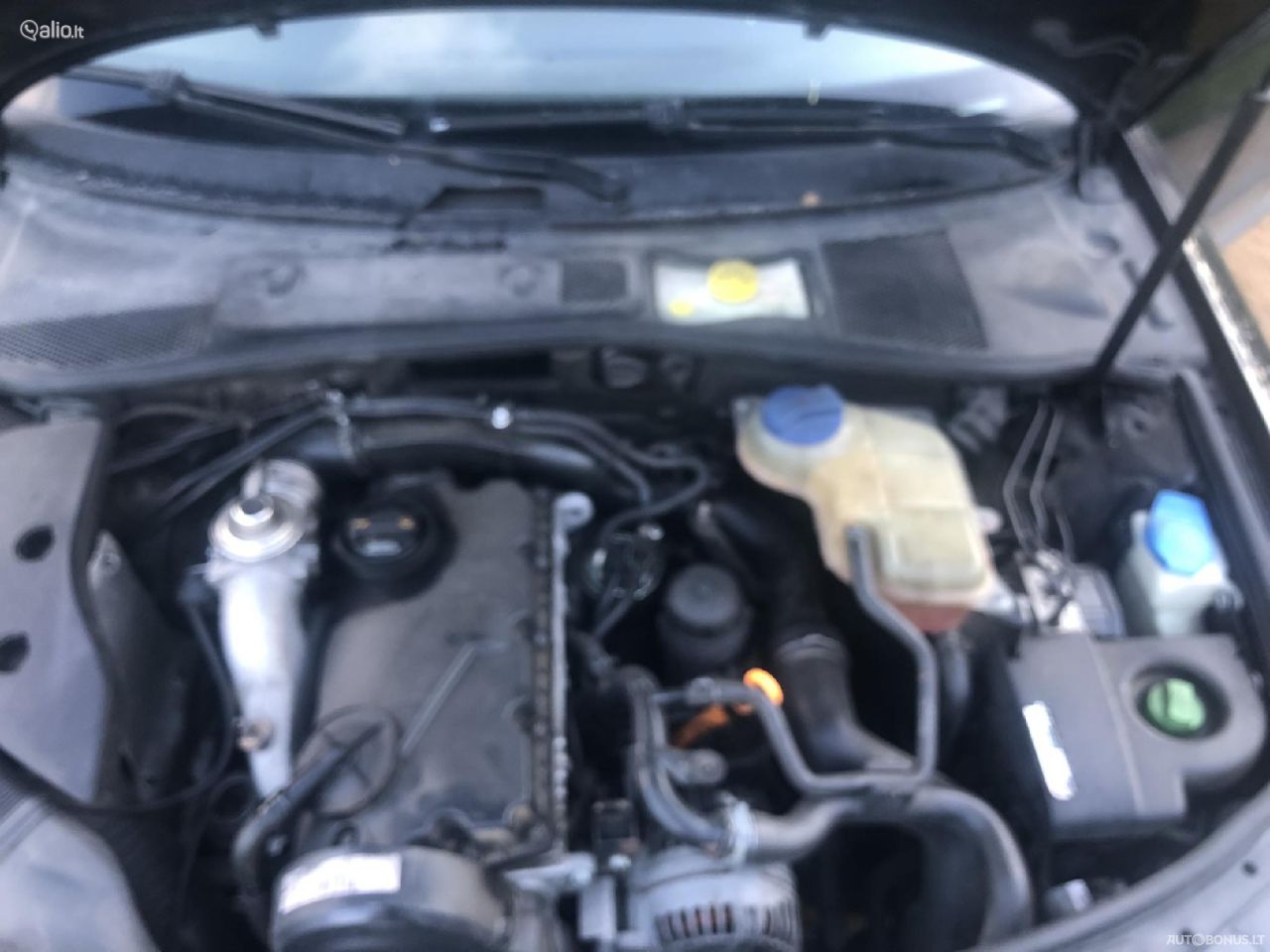 Volkswagen Passat | 5