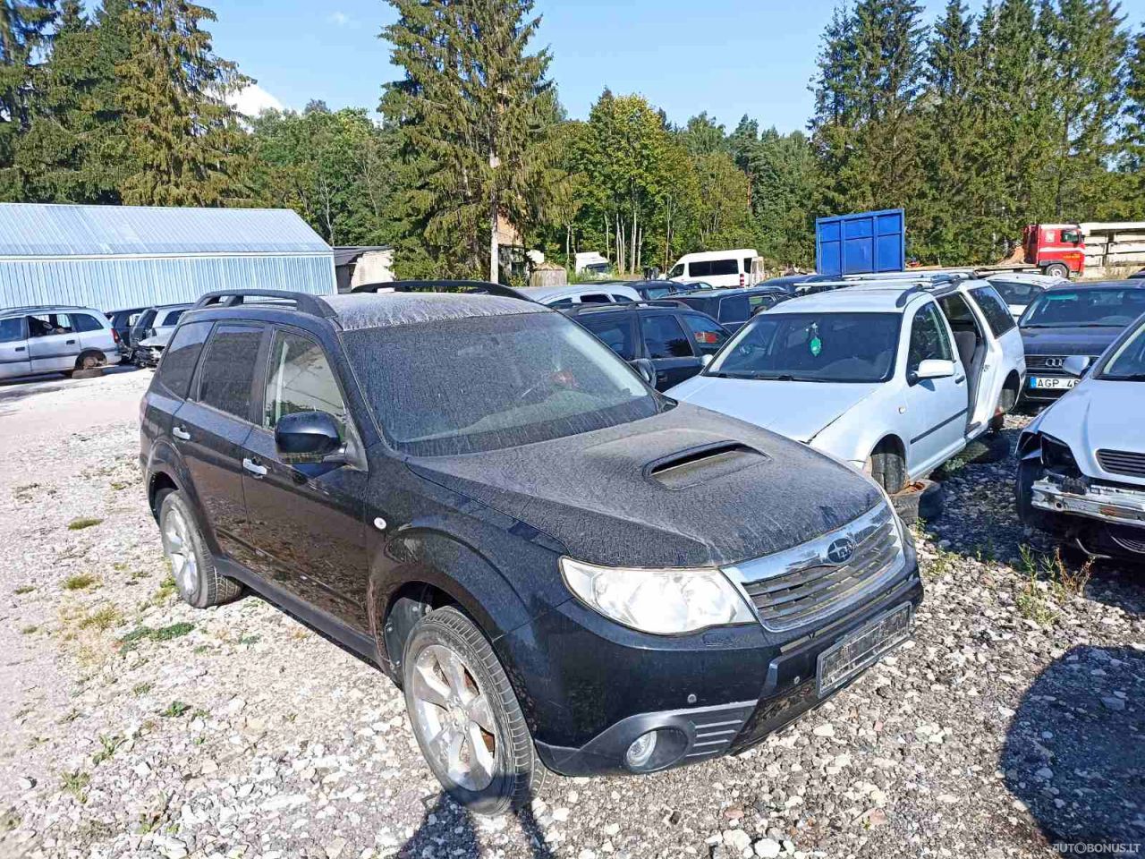 Subaru Forester, Cross-country