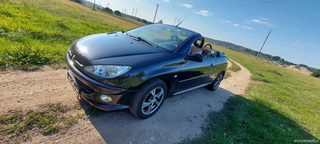 Peugeot 206 | 9