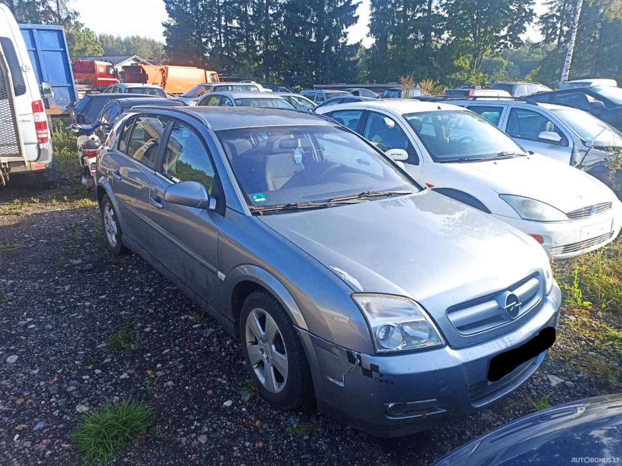 Opel Signum, Hatchback
