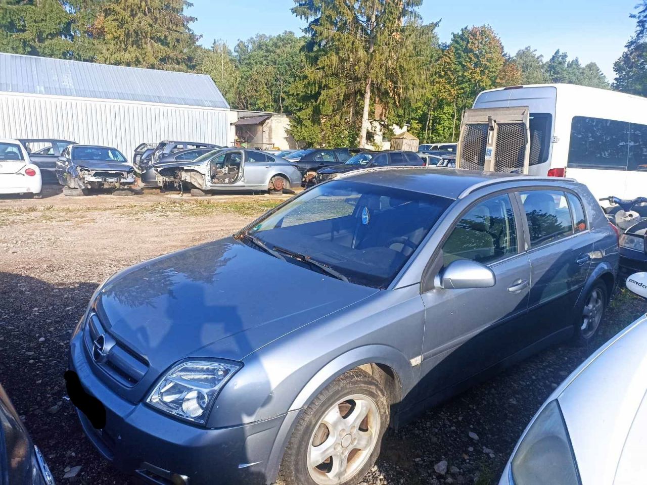 Opel Signum, Hatchback | 1