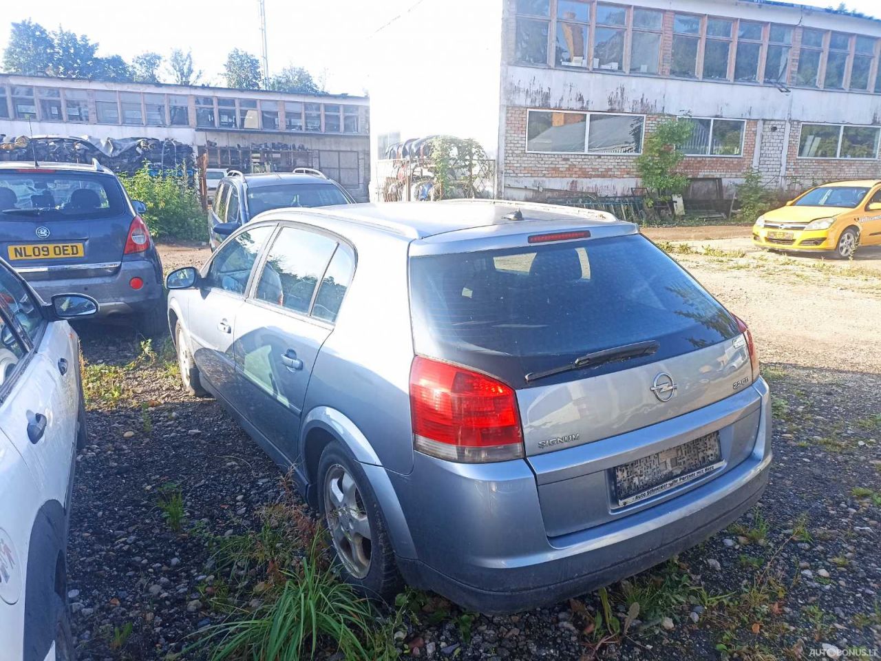 Opel Signum, Hatchback | 2