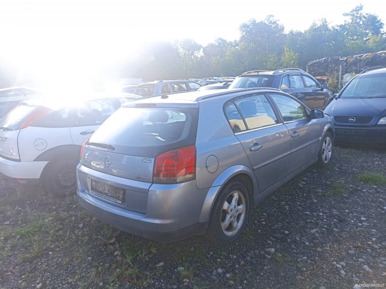 Opel Signum, Hatchback | 3