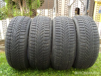 Kelly žieminės padangos