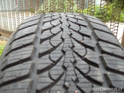 Kelly žieminės padangos | 2