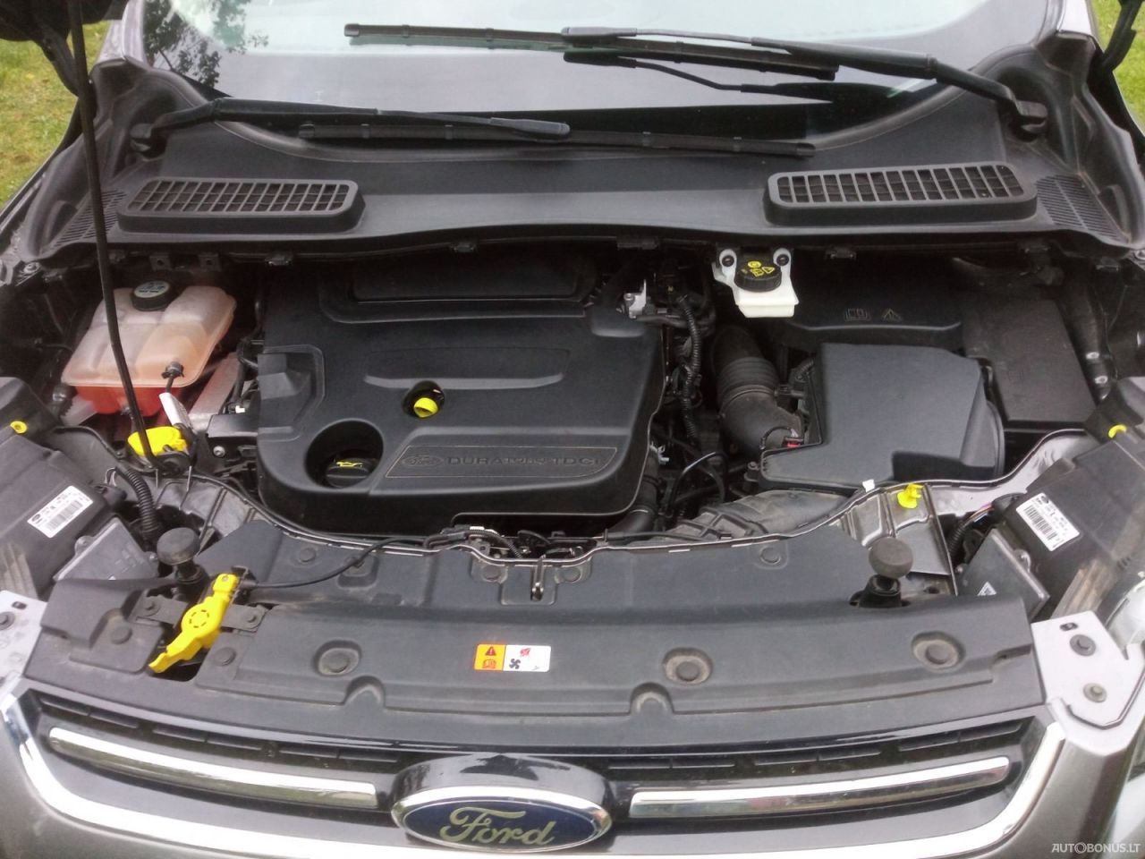 Ford Kuga | 7